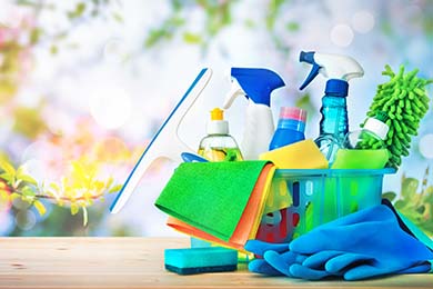 domestic cleaning services