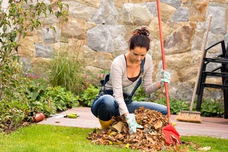 garden cleaning